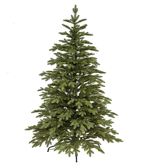 Smrk Norskýs 3D jehličím